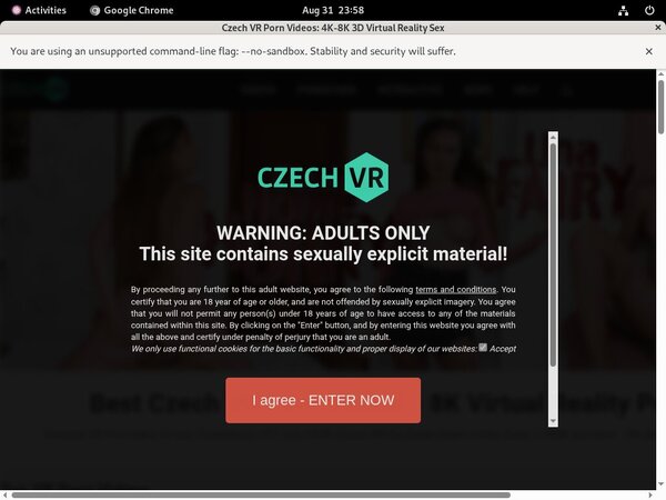 Active Czechvr Passwords