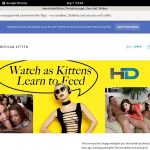 Americankittens Automatische Kassen