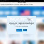 Badpuppy Pay Pal Account
