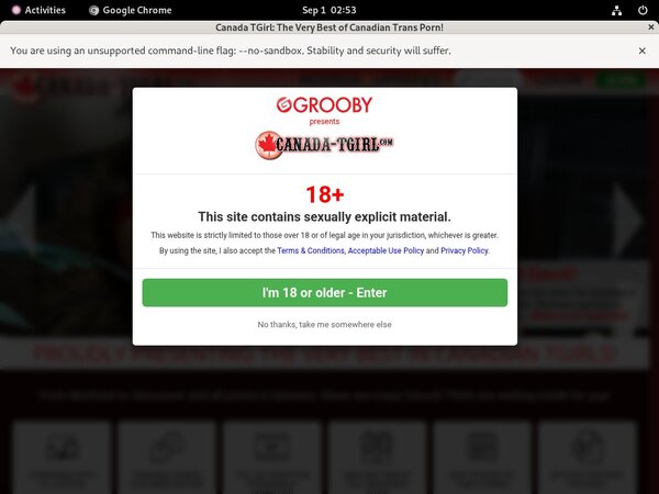 [Image: Canadatgirlcom-Vendocom.jpg]