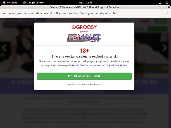 Femout Mit ELV