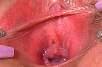 Gape My Pussy Users s5