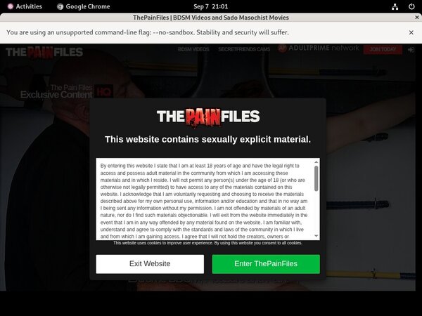 Get Into Thepainfiles