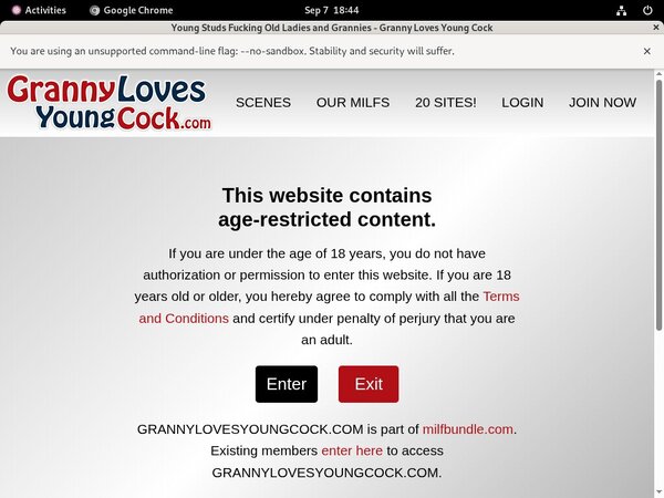 Grannylovesyoungcock Free Acounts