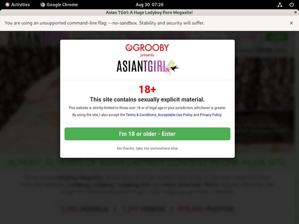 Ladyboy Ladyboy Com Paypal