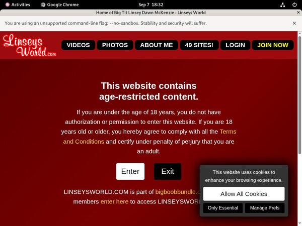 Linseys World Premium Free Account Linseys World Premium Free Account