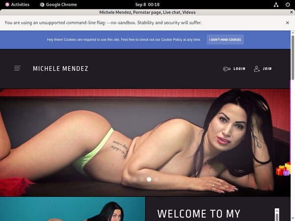 Michelemendez.modelcentro.com Free Entry