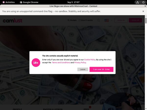 [Image: MistressCruel-Wiki.jpg]