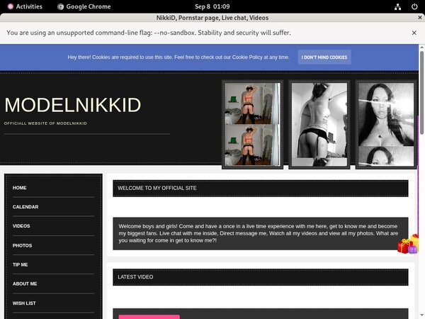 Modelnikki.modelcentro.com Xxx Movies