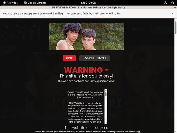 Nasty Twinks 2020