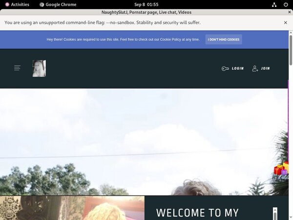 Naughtyjeanette.com Giropay