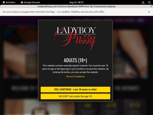 New Ladyboypussy Discount Code