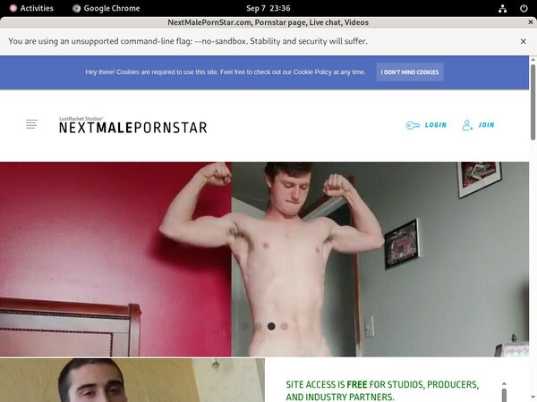 NextMalePornStar.com Xvideos