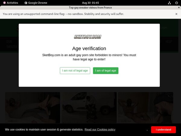 Password For Sketboy