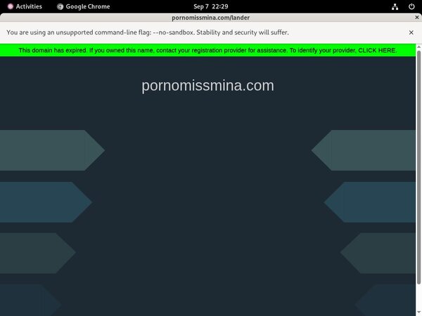Passwords To Miss Mina Pornostar