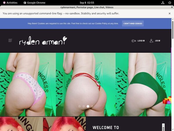 Rydenarmani.com Paypal Options