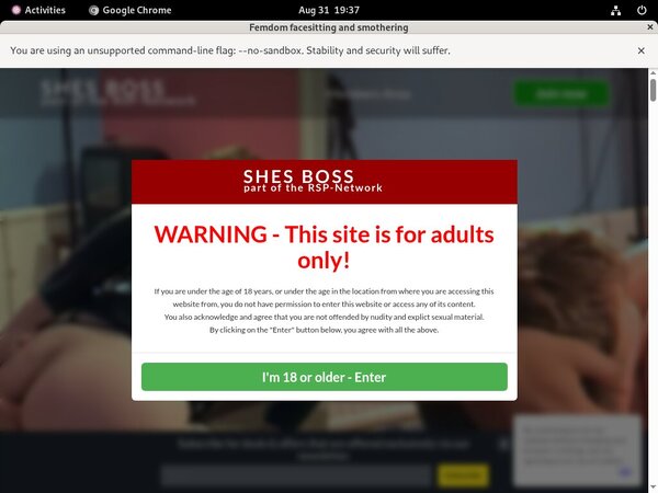 Shesboss Org