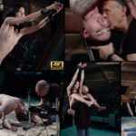 Subspace Land $1 Porn Trial