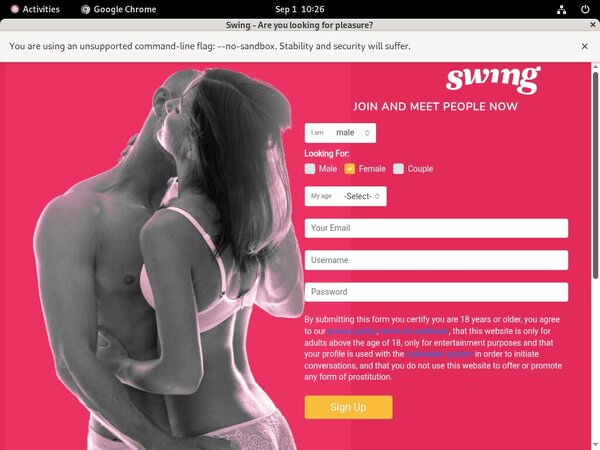 Swing.net Form