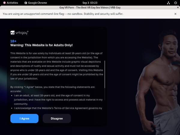 VRB Gay Sex Movies