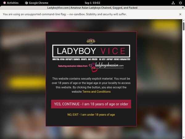 Video Ladyboyvice.com Free