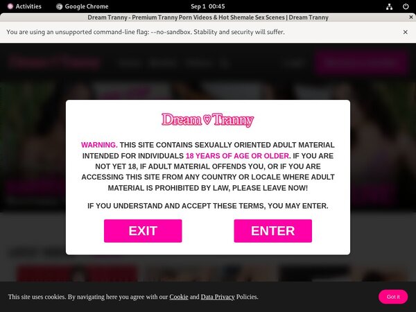 Dream Tranny Video