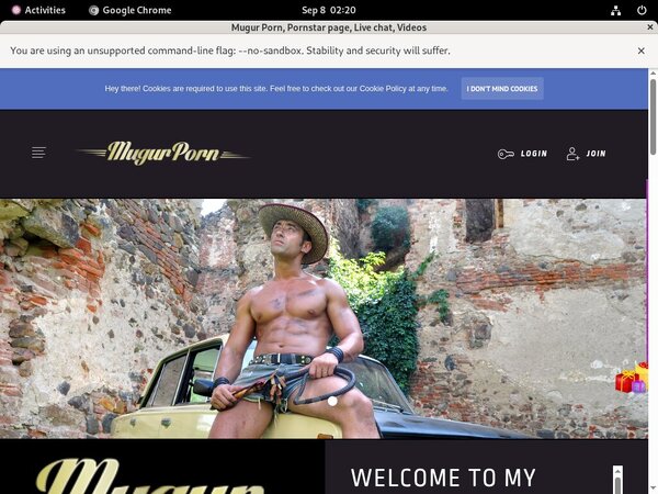 Mugursworld.com Working Accounts